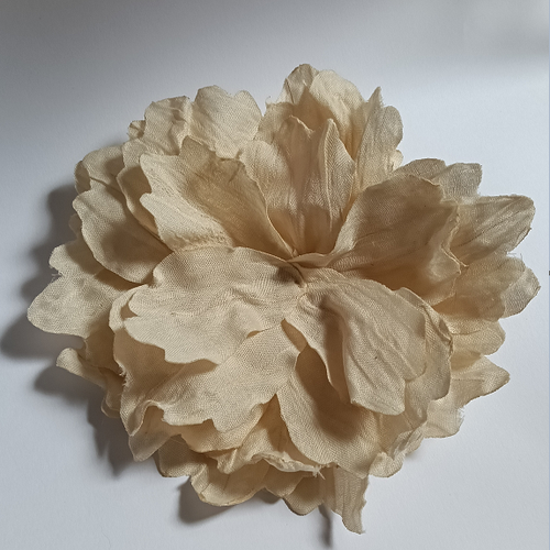 broches-carita