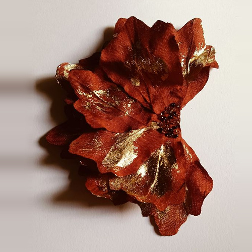 broches-carita